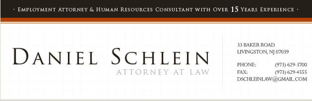 Daniel Schlein photo information